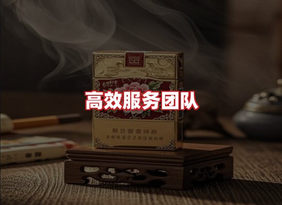 专业团队